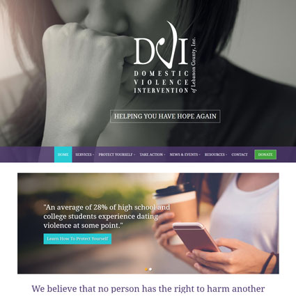 DVI Web Design